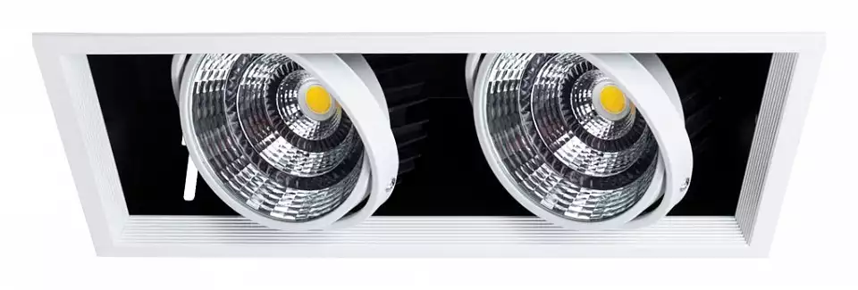 Встраиваемый светильник Arte Lamp Merga A8450PL-2WH 0_AR_A8450PL-2WH.webp big