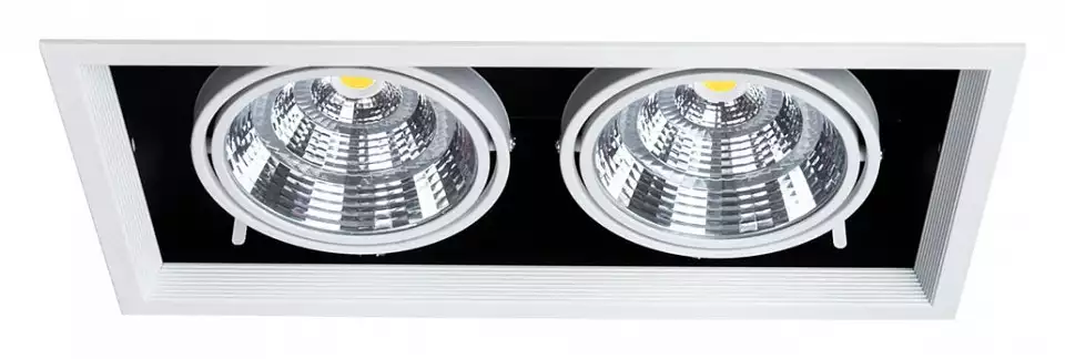 Встраиваемый светильник Arte Lamp Merga A8450PL-2WH 1_AR_A8450PL-2WH.webp big