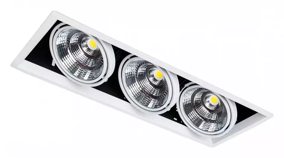 Встраиваемый светильник Arte Lamp Merga A8450PL-3WH 1_AR_A8450PL-3WH.webp big