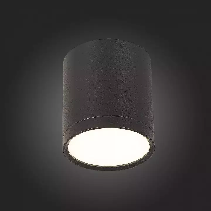 Накладной светильник ST-Luce Rene ST113.442.05 4_ST113.442.05.webp big