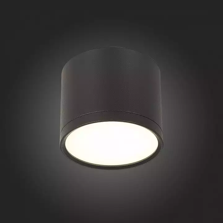 Накладной светильник ST-Luce Rene ST113.442.09 4_ST113.442.09.webp big
