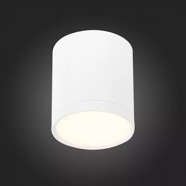 Накладной светильник ST-Luce Rene ST113.532.05 4_ST113.532.05.webp big