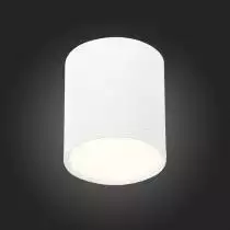 Накладной светильник ST-Luce Rene ST113.532.05 4_ST113.532.05.webp small