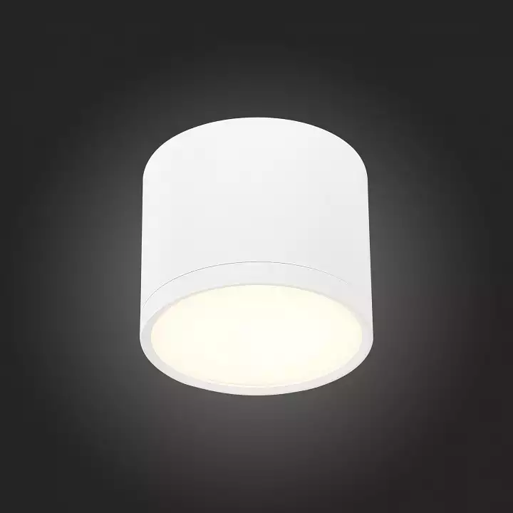 Накладной светильник ST-Luce Rene ST113.532.09 4_ST113.532.09.webp big