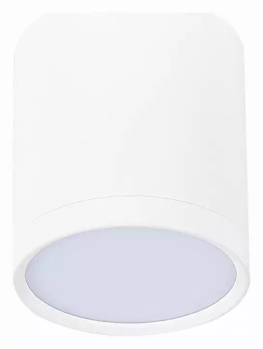 Накладной светильник ST-Luce Rene ST113.542.05 0_ST113.542.05.webp big
