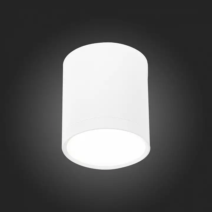 Накладной светильник ST-Luce Rene ST113.542.05 4_ST113.542.05.webp big