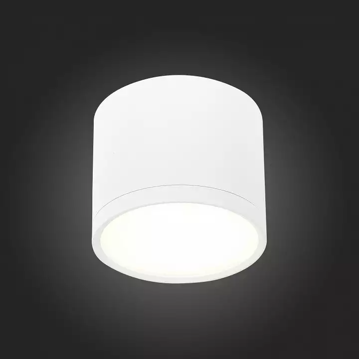 Накладной светильник ST-Luce Rene ST113.542.09 4_ST113.542.09.webp big