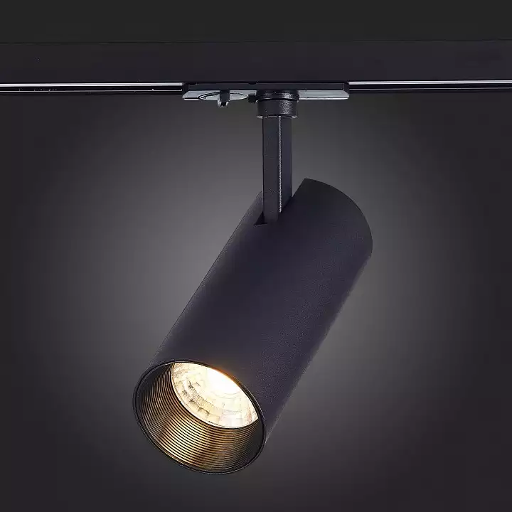 Светильник на штанге ST-Luce Mono ST350.436.20.36 5_ST350.436.20.36.webp big