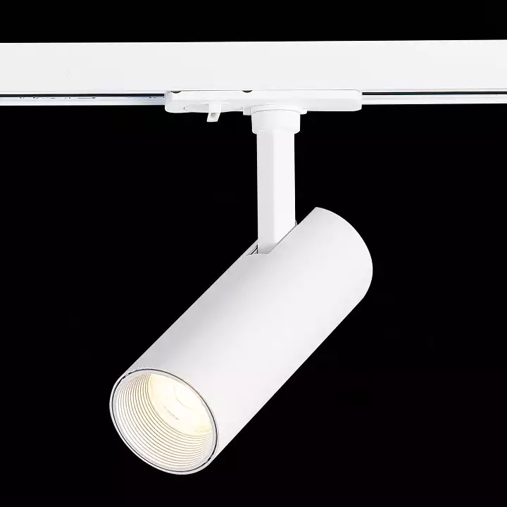 Светильник на штанге ST-Luce Mono ST350.546.10.36 3_ST350.546.10.36.webp big