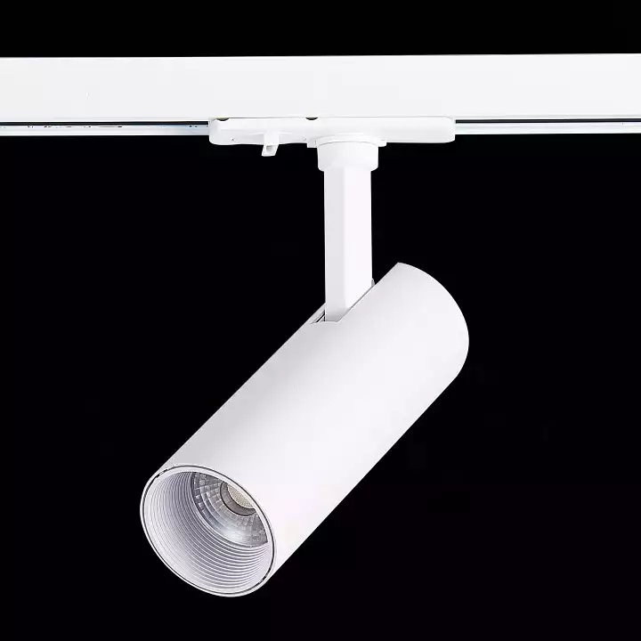 Светильник на штанге ST-Luce Mono ST350.546.10.36 4_ST350.546.10.36.webp big