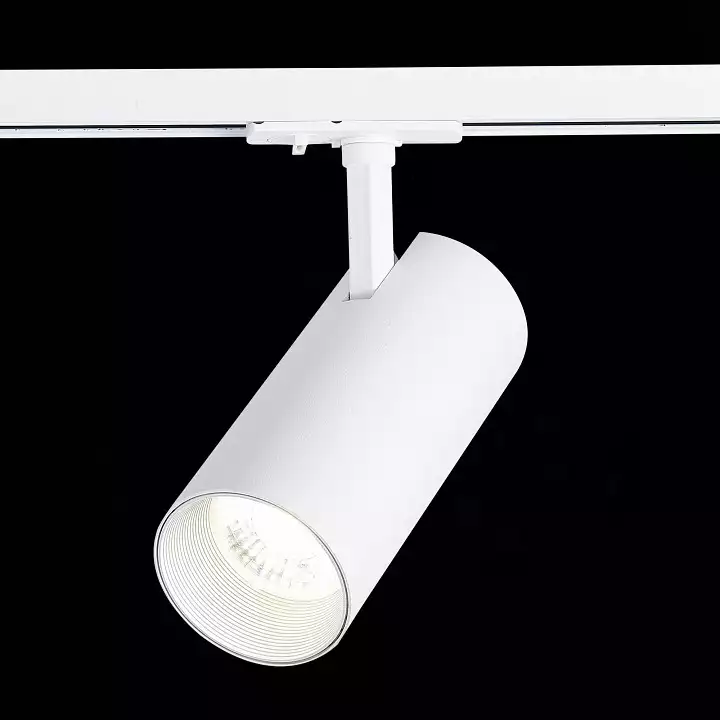 Светильник на штанге ST-Luce Mono ST350.546.30.36 3_ST350.546.30.36.webp big