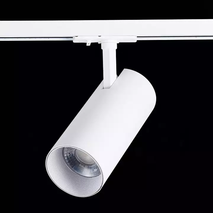 Светильник на штанге ST-Luce Mono ST350.546.30.36 4_ST350.546.30.36.webp big