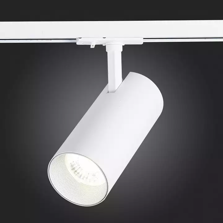 Светильник на штанге ST-Luce Mono ST350.546.30.36 8_ST350.546.30.36.webp big