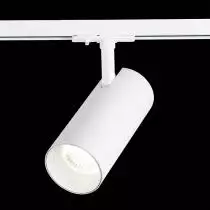 Светильник на штанге ST-Luce Mono ST350.546.30.36 3_ST350.546.30.36.webp small