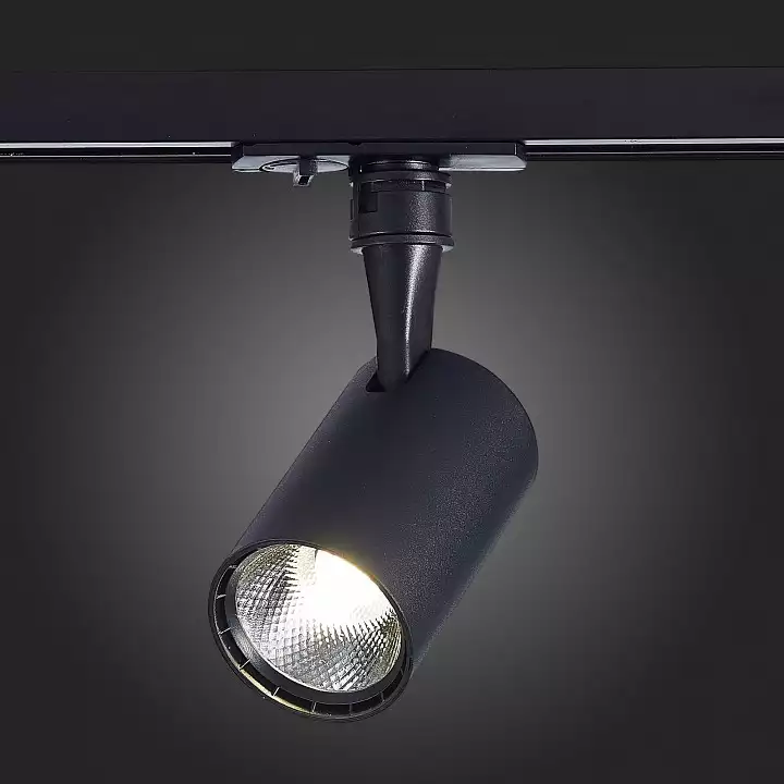 Светильник на штанге ST-Luce Cami ST351.436.10.36 6_ST351.436.10.36.webp big