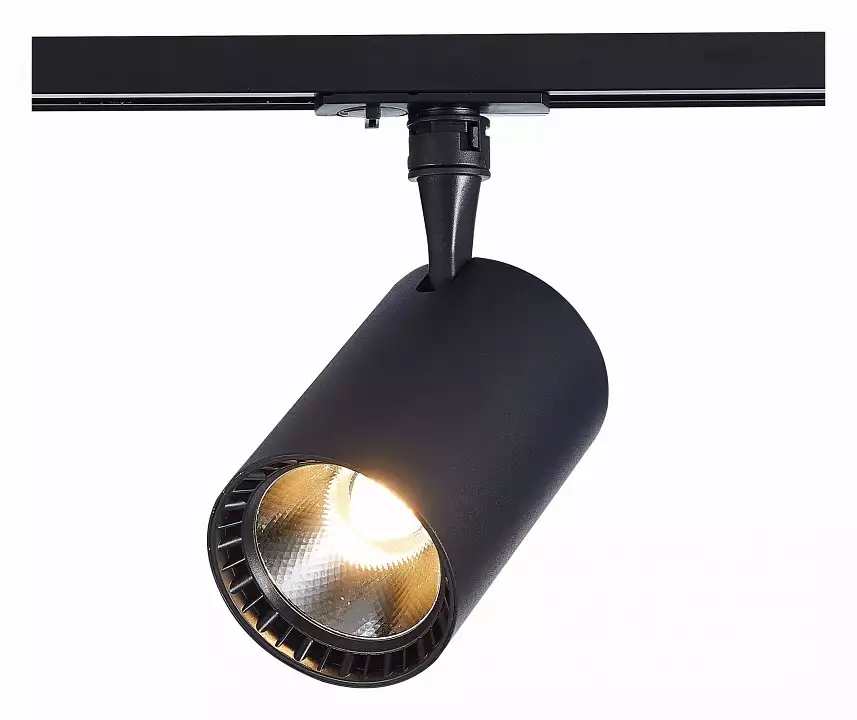 Светильник на штанге ST-Luce Cami ST351.436.20.36 1_ST351.436.20.36.webp big
