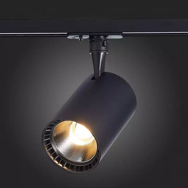 Светильник на штанге ST-Luce Cami ST351.436.20.36 3_ST351.436.20.36.webp big