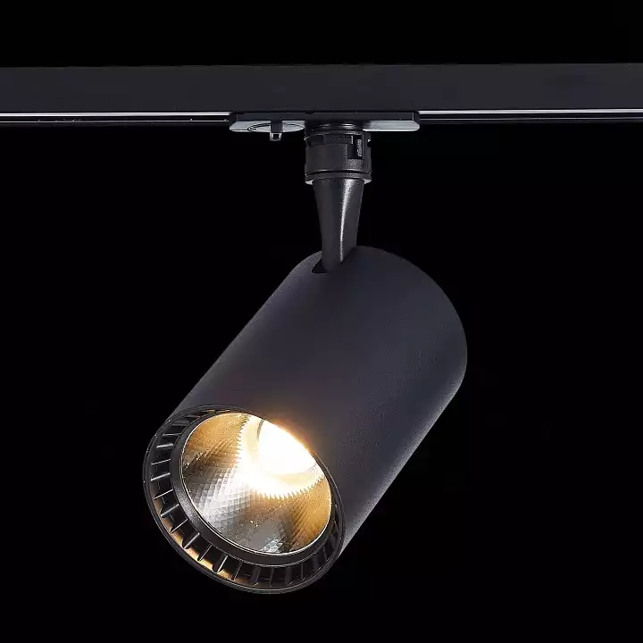 Светильник на штанге ST-Luce Cami ST351.436.20.36 6_ST351.436.20.36.webp big