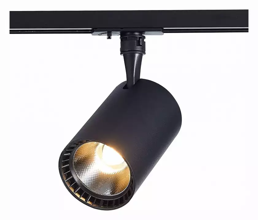 Светильник на штанге ST-Luce Cami ST351.446.20.36 1_ST351.446.20.36.webp big