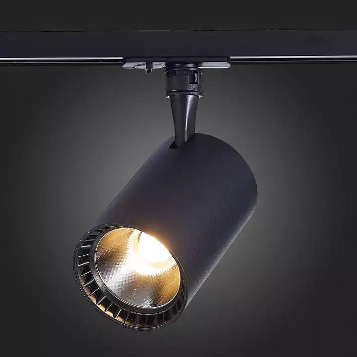 Светильник на штанге ST-Luce Cami ST351.446.20.36 3_ST351.446.20.36.webp big