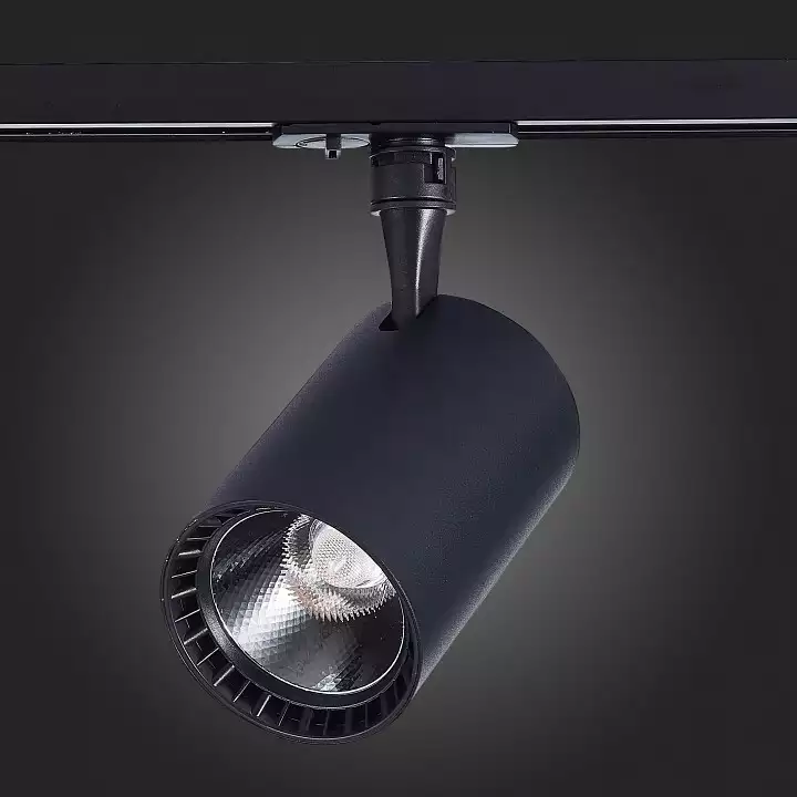 Светильник на штанге ST-Luce Cami ST351.446.20.36 4_ST351.446.20.36.webp big