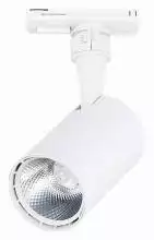 Светильник на штанге ST-Luce Cami ST351.536.10.36