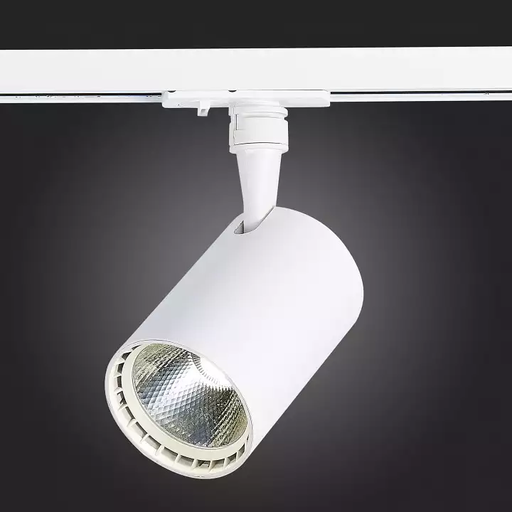 Светильник на штанге ST-Luce Cami ST351.546.20.36 3_ST351.546.20.36.webp big