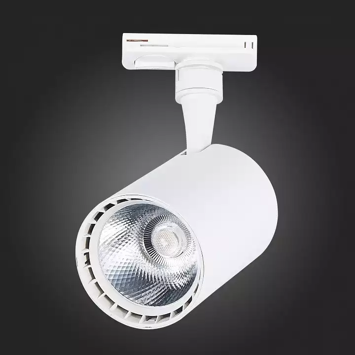 Светильник на штанге ST-Luce Cami ST351.546.20.36 5_ST351.546.20.36.webp big