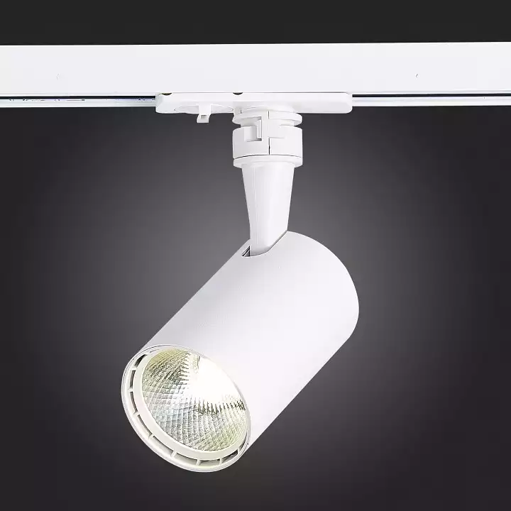 Светильник на штанге ST-Luce Cami ST351.546.10.36 3_ST351.546.10.36.webp big