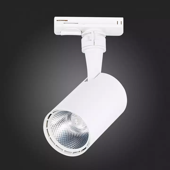 Светильник на штанге ST-Luce Cami ST351.546.10.36 5_ST351.546.10.36.webp big