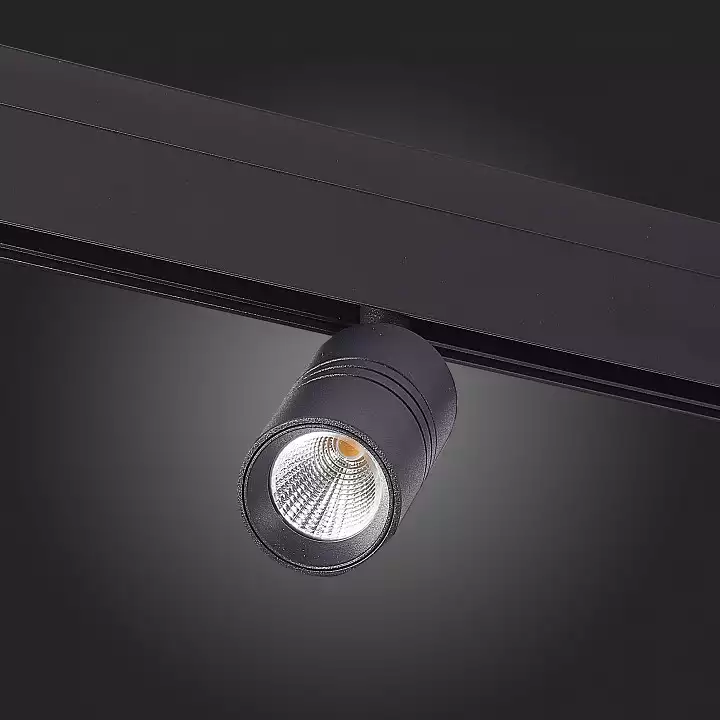 Светильник на штанге ST-Luce Lemmi ST365.436.07 5_ST365.436.07.webp big