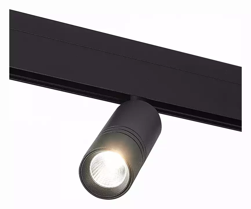 Светильник на штанге ST-Luce Lemmi ST365.436.12 0_ST365.436.12.webp big