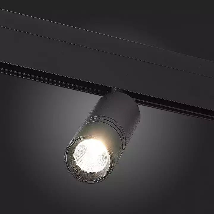 Светильник на штанге ST-Luce Lemmi ST365.436.12 2_ST365.436.12.webp big