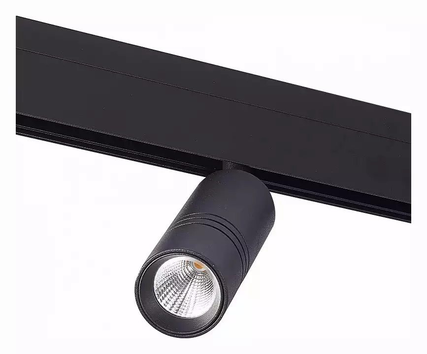 Светильник на штанге ST-Luce Lemmi ST365.436.12 3_ST365.436.12.webp big