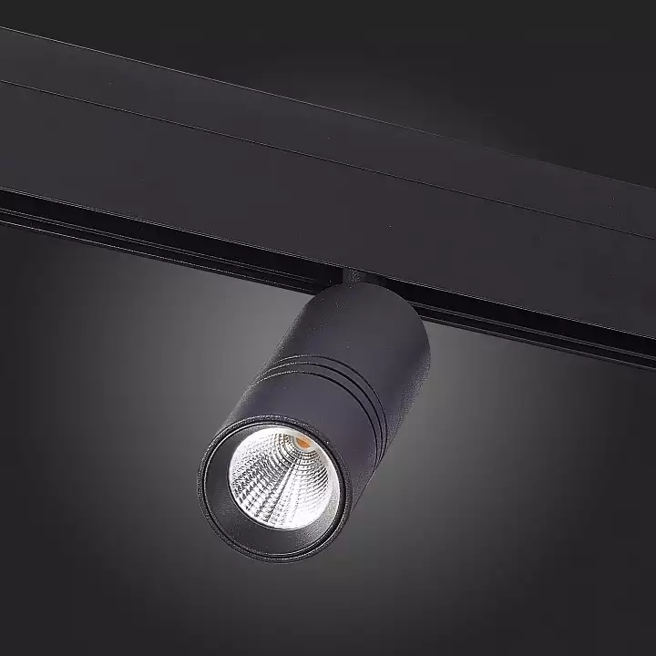 Светильник на штанге ST-Luce Lemmi ST365.436.12 5_ST365.436.12.webp big