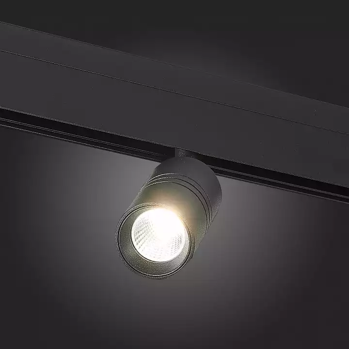 Светильник на штанге ST-Luce Lemmi ST365.446.07 2_ST365.446.07.webp big