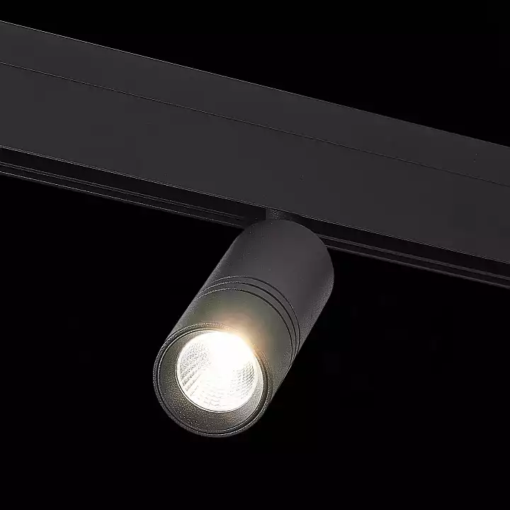 Светильник на штанге ST-Luce Lemmi ST365.446.12 1_ST365.446.12.webp big