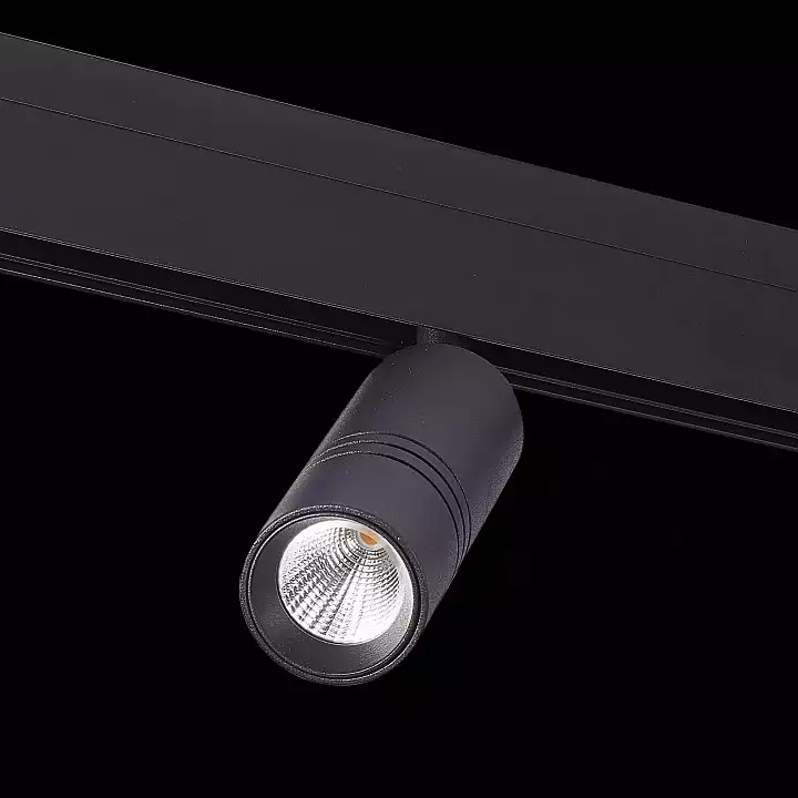 Светильник на штанге ST-Luce Lemmi ST365.446.12 4_ST365.446.12.webp big