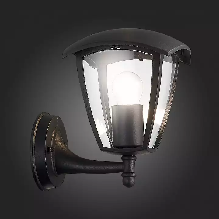 Светильник на штанге ST-Luce Sivino SL081.401.01 7_SL081.401.01.webp big