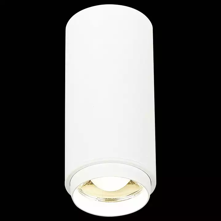 Накладной светильник ST-Luce Zoom ST600.542.10 2_ST600.542.10.webp big