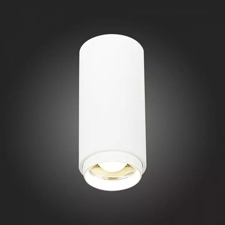 Накладной светильник ST-Luce Zoom ST600.542.10 4_ST600.542.10.webp big