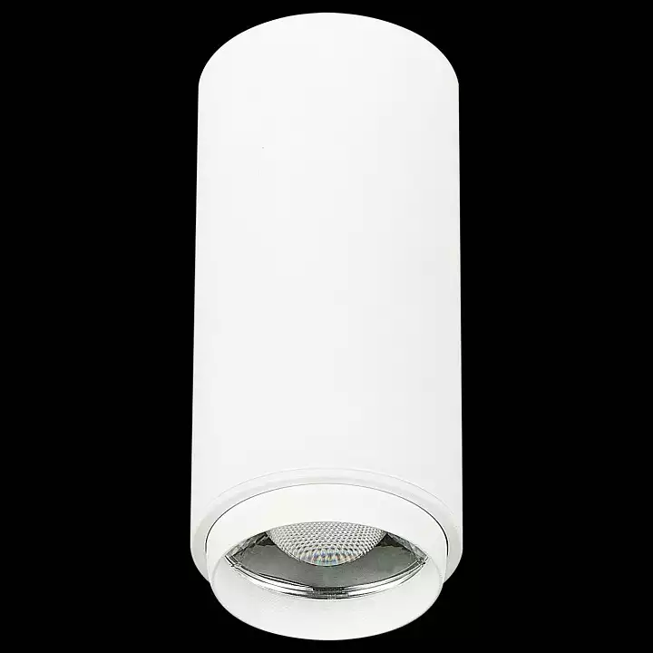 Накладной светильник ST-Luce Zoom ST600.532.10 2_ST600.532.10.webp big