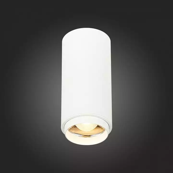 Накладной светильник ST-Luce Zoom ST600.532.10 4_ST600.532.10.webp big