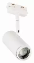 Светильник на штанге ST-Luce Zoom ST600.546.12