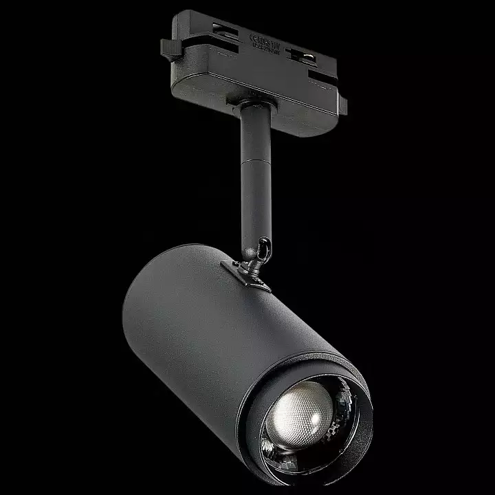 Светильник на штанге ST-Luce Zoom ST600.446.12 3_ST600.446.12.webp big