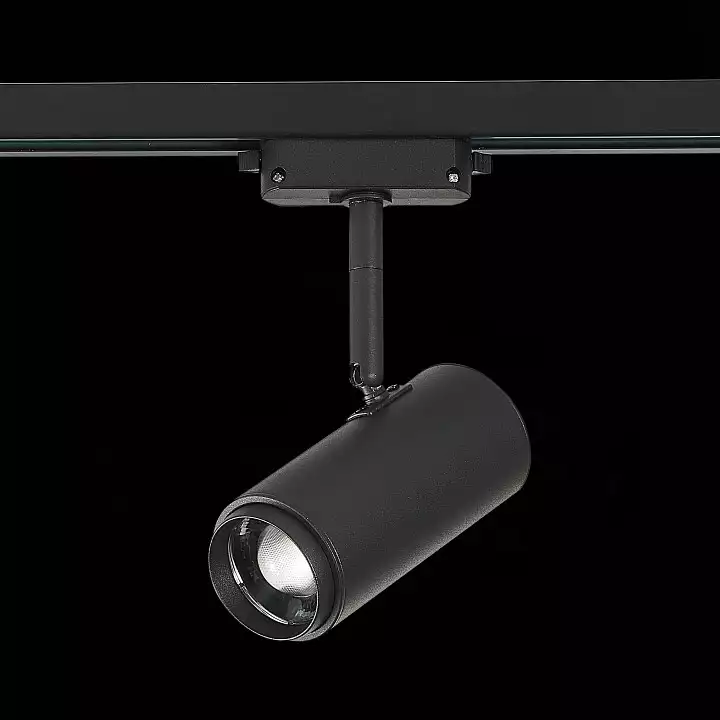 Светильник на штанге ST-Luce Zoom ST600.446.12 5_ST600.446.12.webp big