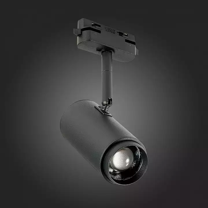 Светильник на штанге ST-Luce Zoom ST600.446.12 6_ST600.446.12.webp big