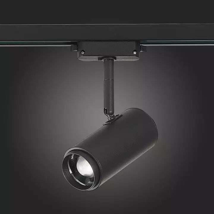 Светильник на штанге ST-Luce Zoom ST600.446.12 8_ST600.446.12.webp big