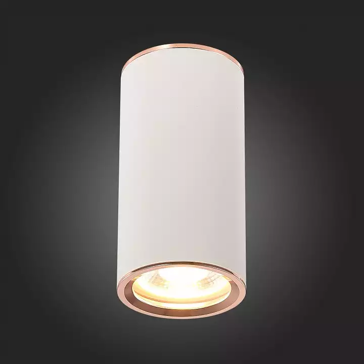 Накладной светильник ST-Luce Chomus ST111.527.01 4_ST111.527.01.webp big