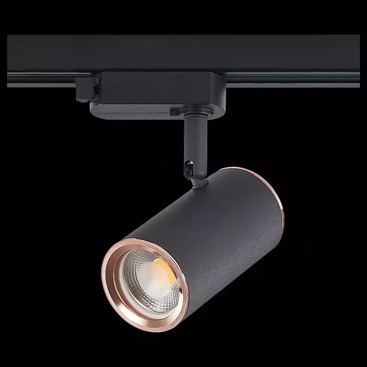 Светильник на штанге ST-Luce Cromi ST301.426.01 4_ST301.426.01.webp big